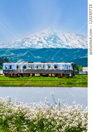 Yuri Kogen Railway: A train running through rice fields with Mt. Chokai in the background (Magazawa-Maego) 128289718