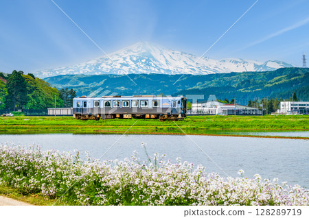 由利高原鐵道：以鳥海山為背景，行駛在稻田中的列車（真澤-前鄉） 128289719