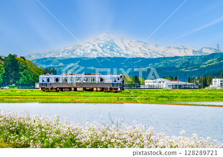 Yuri Kogen Railway: A train running through rice fields with Mt. Chokai in the background (Magazawa-Maego) Yuri Kogen Railway: A train running through rice fields with Mt. Chokai in the background (Magazawa-Maego) 128289721