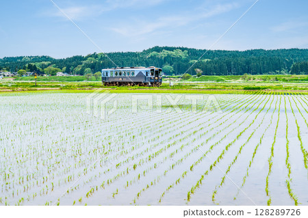 Yuri Kogen Railway: Train running through rice fields (Magazawa-Maego) Yuri Kogen Railway: Train running through rice fields (Magazawa-Maego) 128289726