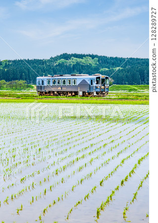 Yuri Kogen Railway: Train running through rice fields (Magazawa-Maego) Yuri Kogen Railway: Train running through rice fields (Magazawa-Maego) 128289727