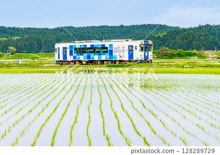Yuri Kogen Railway: Train running through rice fields (Magazawa-Maego) Yuri Kogen Railway: Train running through rice fields (Magazawa-Maego) 128289729