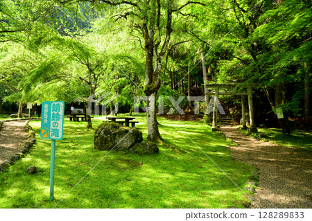 Akitsuno Ono Park [Kawakami Village, Nara Prefecture] 128289833