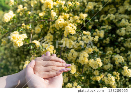 黃花與雙手合十① 黃花與雙手合十① 128289965