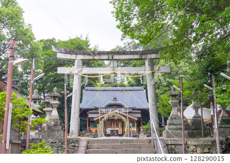 京都棚倉孫神社 穿過草環 128290015