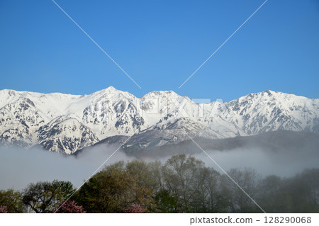 從野平村眺望北阿爾卑斯山(雲海)【長野縣白馬村】 從野平村眺望北阿爾卑斯山(雲海)【長野縣白馬村】 128290068
