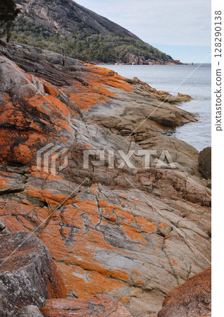 Lichen covered rocks - Freycinet Peninsula 128290138