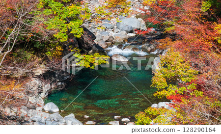 Tsuchikyo Gorge (Autumn) 128290164