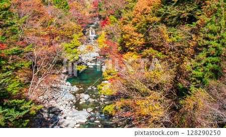 Tsuchikyo Gorge (Autumn) 128290250