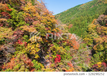 Tsuchikyo Gorge (Autumn) 128290252