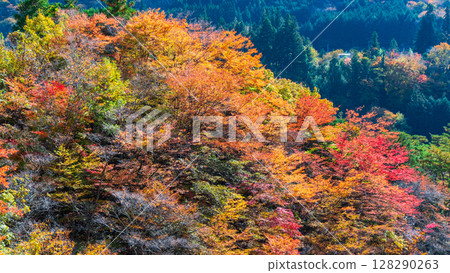 土chi峽（秋天） 128290263