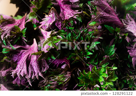 夏日紅紫甦的香氣 夏日紅紫甦的香氣 128291122