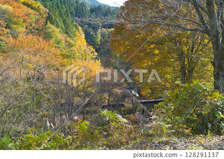 被秋色籠罩的山村小路 128291137