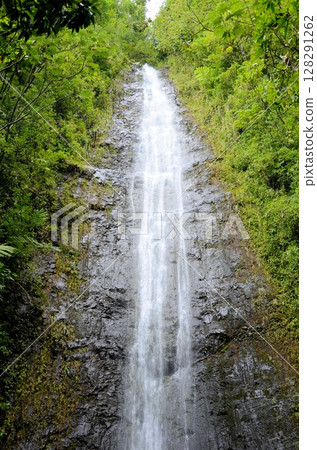 Manoa Waterfall 128291262