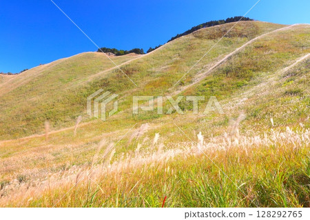 Sogen高原/ Kamekei / Kusunoyama / Muro Akame青山準國家公園中的大型鈴木 128292765