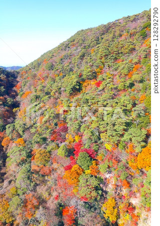 Mt. Rokko and autumn foliage in Yugatani as seen from the Rokko-Arima Ropeway/Setonaikai National Park 128292790