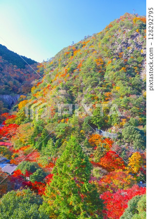 Mt. Rokko as seen from the Rokko-Arima Ropeway, and the autumn leaves of Arima Onsen / Setonaikai National Park Mt. Rokko as seen from the Rokko-Arima Ropeway, and the autumn leaves of Arima Onsen / Setonaikai National Park 128292795