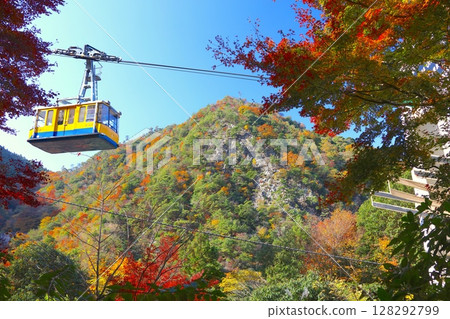 Rokko Arima索道，附近的有馬溫泉站和六甲山，有馬溫泉（灰型）/瀨戶內海國家公園的秋葉 128292799