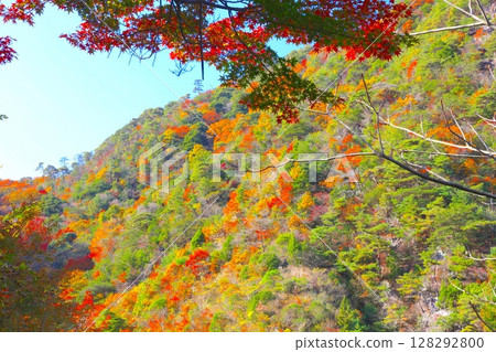 Rokko Arima Ropeway, Nearby Arima Onsen Station and Rokko Mountain, Autumn leaves of Arima Onsen (Ash type) / Seto Inland Sea National Park Rokko Arima Ropeway, Nearby Arima Onsen Station and Rokko Mountain, Autumn leaves of Arima Onsen (Ash type) / Seto Inland Sea National Park 128292800