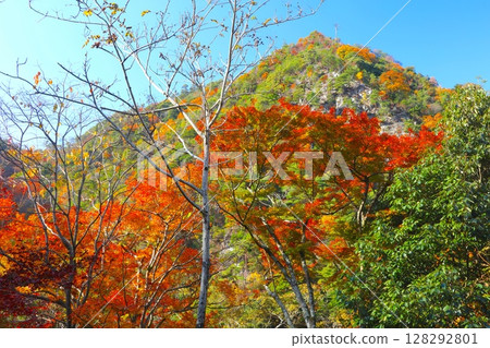 Rokko Arima索道,附近的有馬溫泉站和六甲山,有馬溫泉(灰型)/瀨戶內海國家公園的秋葉 Rokko Arima索道,附近的有馬溫泉站和六甲山,有馬溫泉(灰型)/瀨戶內海國家公園的秋葉 128292801