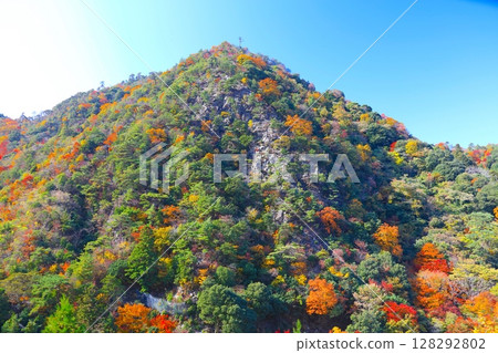 Rokko Arima索道,附近的有馬溫泉站和六甲山,有馬溫泉(灰型)/瀨戶內海國家公園的秋葉 Rokko Arima索道,附近的有馬溫泉站和六甲山,有馬溫泉(灰型)/瀨戶內海國家公園的秋葉 128292802
