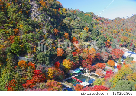 Majestic Rokko Mountain from Rokko Arima Ropeway, Autumn leaves of Arima Onsen / Seto Inland Sea National Park 128292803