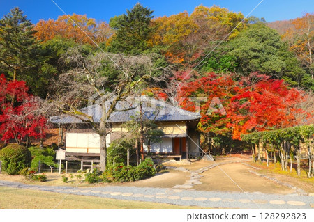 Autumn leaves at Shuentei / Japanese garden in Tatsuno Castle and Tatsuno Park Autumn leaves at Shuentei / Japanese garden in Tatsuno Castle and Tatsuno Park 128292823