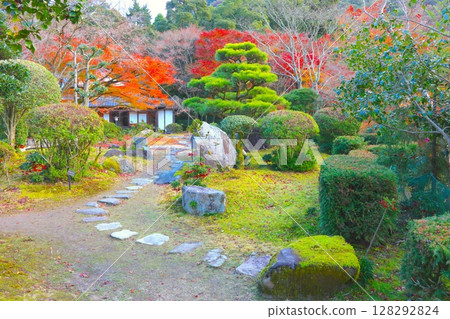 Autumn leaves at Shuentei / Japanese garden in Tatsuno Castle and Tatsuno Park Autumn leaves at Shuentei / Japanese garden in Tatsuno Castle and Tatsuno Park 128292824