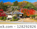 辰野城與辰野公園的修恩亭日式花園的紅葉 128292826