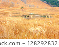 Akine Peak Plain（Tonomi Kogensen）/ Snow Hikomine Mountain縣立自然公園的一大群Susuki 128292832