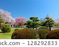 世界遺產、國寶姬路城與西之丸庭園的紅白櫻花 / 平成百景 / 日本百處賞櫻勝地 / 日本百處名城 128292833