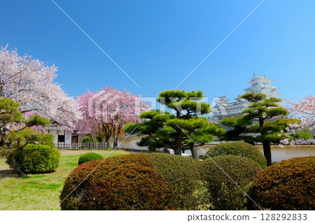 世界遺產、國寶姬路城與西之丸庭園的紅白櫻花 / 平成百景 / 日本百處賞櫻勝地 / 日本百處名城 世界遺產、國寶姬路城與西之丸庭園的紅白櫻花 / 平成百景 / 日本百處賞櫻勝地 / 日本百處名城 128292833
