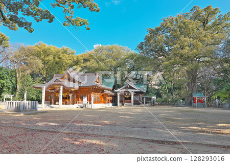 [Ichinomiya Shrine] Ichinomiya Town, Niihama City, Ehime Prefecture 128293016