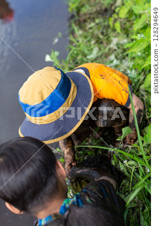 Parent and child rice planting experience - Toddler Parent and child rice planting experience - Toddler 128294649
