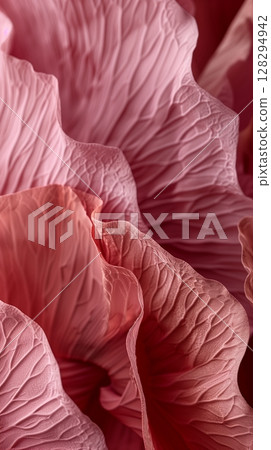 Pink flowers closeup petal blooming close up nature theme with story solid background 128294942