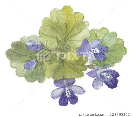 柿戶士的水彩畫 柿戶士的水彩畫 128295362