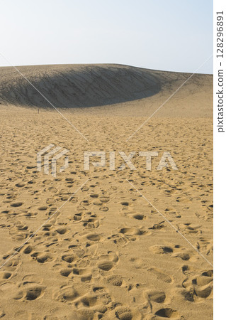 鳥取沙丘的夏日風景 鳥取縣 鳥取沙丘 128296891