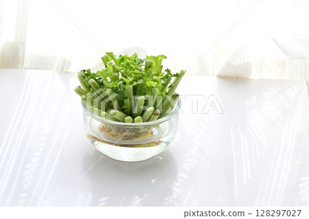 生態回收食物垃圾在水中生長的蘿蔔葉 生態回收食物垃圾在水中生長的蘿蔔葉 128297027