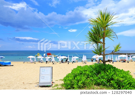 Zanpa Beach in midsummer: Beach umbrellas and swimmers Zanpa Beach in midsummer: Beach umbrellas and swimmers 128297040
