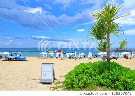 Zanpa Beach in midsummer: Beach umbrellas and swimmers Zanpa Beach in midsummer: Beach umbrellas and swimmers 128297041