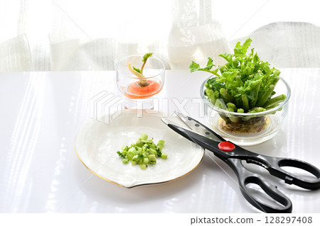 生態回收食物垃圾在水中生長的蘿蔔和胡蘿蔔葉 生態回收食物垃圾在水中生長的蘿蔔和胡蘿蔔葉 128297408