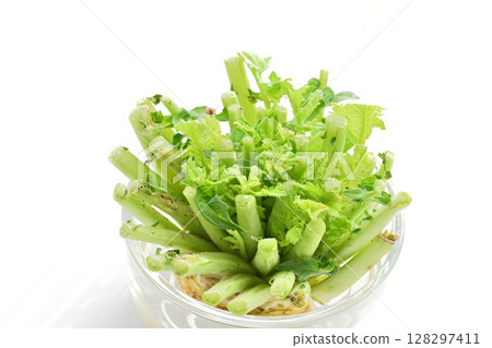 Eco Recycling Food waste Radish leaves grown in water 128297411