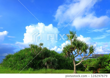 名護灣:藍天和積雨雲 名護灣:藍天和積雨雲 128297679