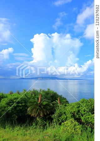 名護灣：藍天和積雨雲 128297682