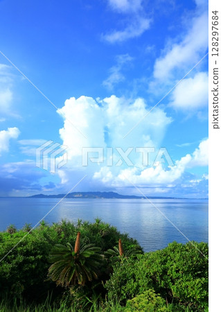 Nago Bay: Blue sky and cumulonimbus clouds 128297684