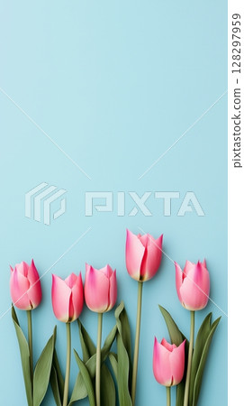 Pink tulip flower neatly arranged bottom edge copy space portrait blue background 128297959