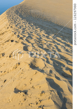 夏季的鳥取沙丘及其形態 鳥取縣 鳥取沙丘 128297980