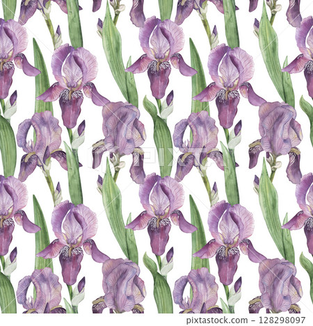 Seamless pattern with purple, lilac irises on a white background. The watercolor illustration is hand-drawn in a botanical style in delicate pastel shades. For wallpaper, textiles, and wrapping paper 128298097