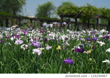 在Itako告別 128298967