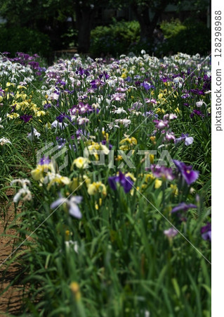 Farewell at the Itako Farewell at the Itako 128298988